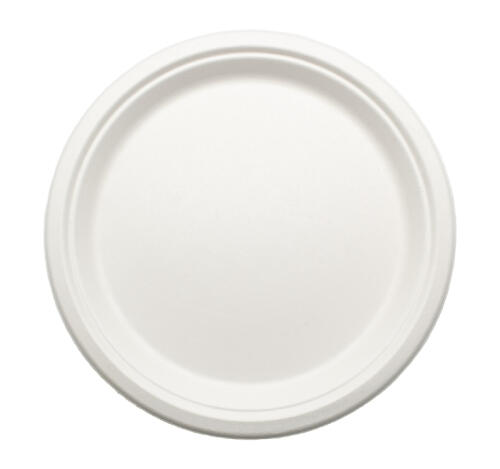 Тарелка ТФ d-254мм, белая (125 шт.)