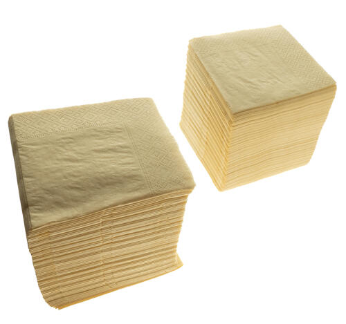 Салфетки бумажные 2сл 24х24 250л/упак TaMbien шампань