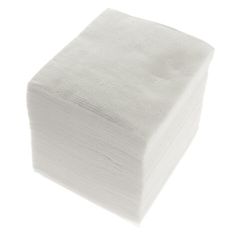 Салфетки бумажные 1сл 20х24 100л/упак Focus Economic Choice белые (5078436)